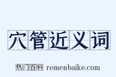 穴管近义词是什么意思的图片